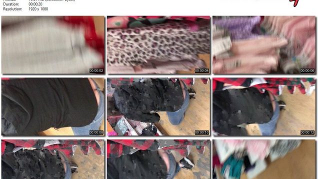 00df78a2-4a2d-11eb-861f-0800278f7705