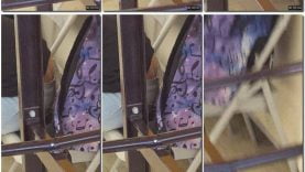 0e07bb08-4a36-11eb-861f-0800278f7705