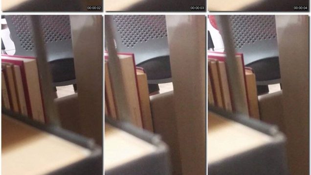 20b8ee42-48a2-11eb-8112-0800278f7705