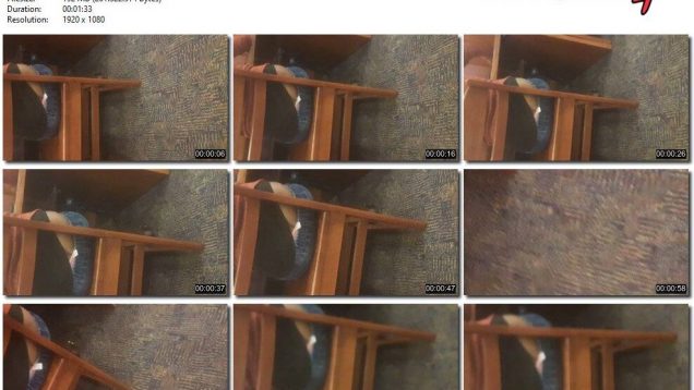 24dd0336-48a8-11eb-8112-0800278f7705