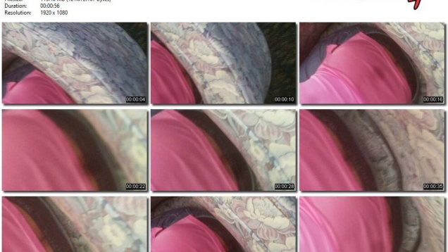 45d9b756-48a7-11eb-8112-0800278f7705