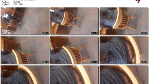 5768edda-48a6-11eb-8112-0800278f7705