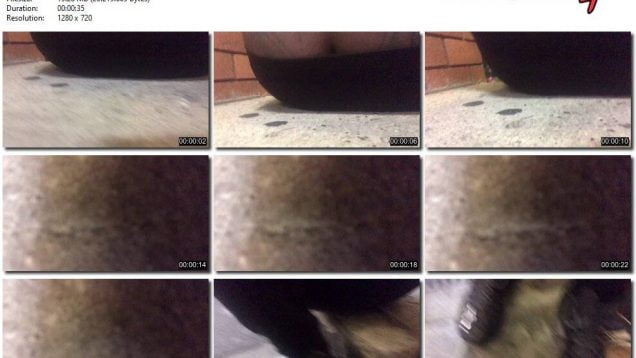 5b1ded88-4a34-11eb-861f-0800278f7705