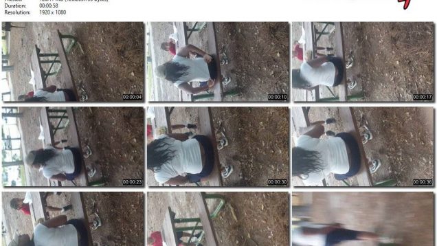 8dfebecc-488f-11eb-8112-0800278f7705