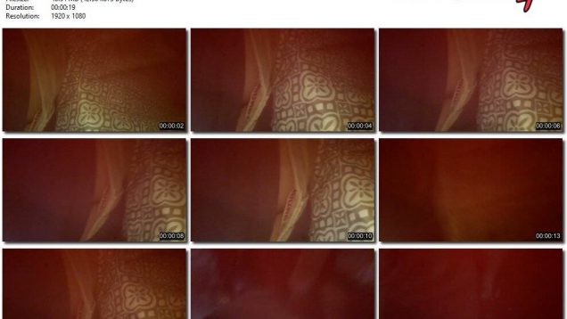 926f62bc-4895-11eb-8112-0800278f7705