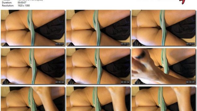 9e3baca8-4a30-11eb-861f-0800278f7705