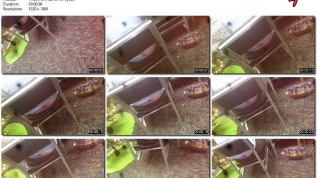 a1342664-48a6-11eb-8112-0800278f7705