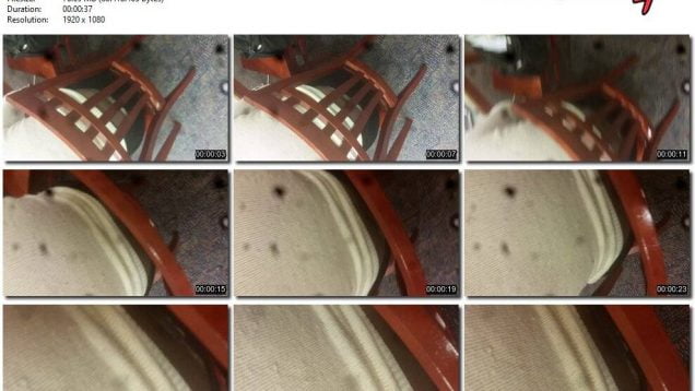 a9ade6c2-48a6-11eb-8112-0800278f7705