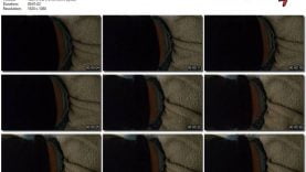 b3b3a764-49f6-11eb-861f-0800278f7705