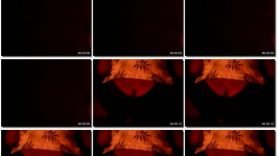 c2876078-49f6-11eb-861f-0800278f7705