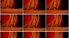 cad9d1b6-49f6-11eb-861f-0800278f7705