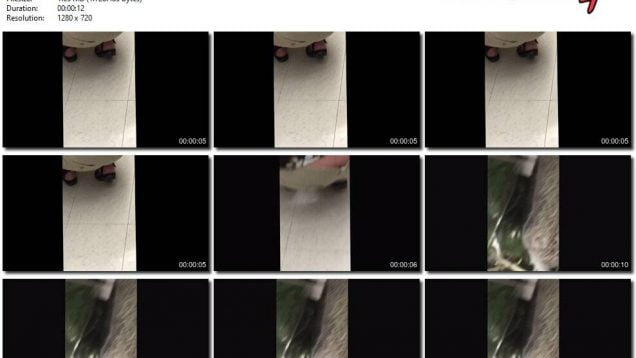 e3e29268-4a2a-11eb-861f-0800278f7705