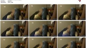 fffd3acc-49f6-11eb-861f-0800278f7705