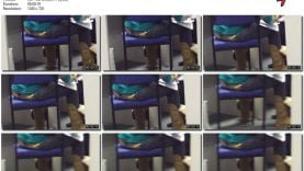 d60a3a8c-4c88-11eb-a8d1-0800278f7705