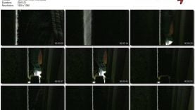 dcc5a5fa-4c88-11eb-a8d1-0800278f7705