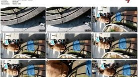 edc848bc-4c88-11eb-a8d1-0800278f7705