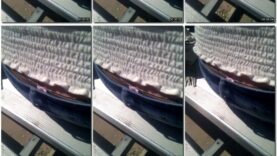 06de982a-aa89-11eb-a8d1-0800278f7705