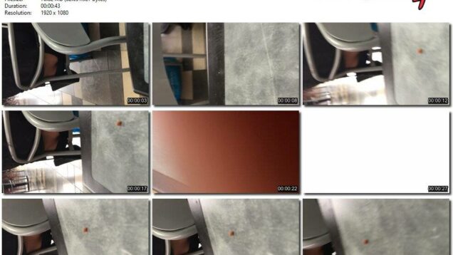 08724bae-b101-11eb-a8d1-0800278f7705