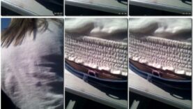 0b2a9c26-aa89-11eb-a8d1-0800278f7705