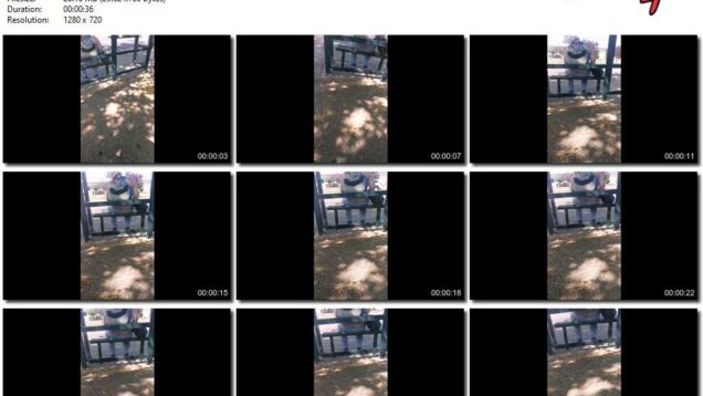 2b681c52-aa8e-11eb-a8d1-0800278f7705