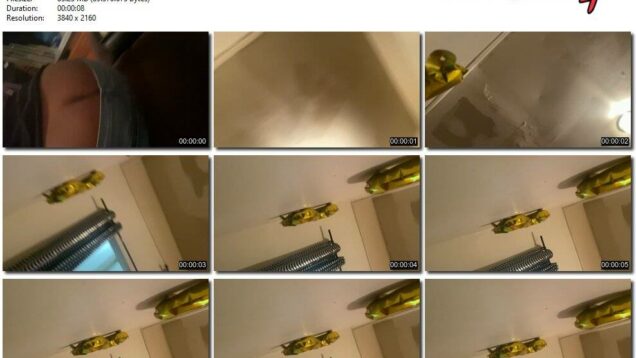 2f5e92e4-b111-11eb-a8d1-0800278f7705