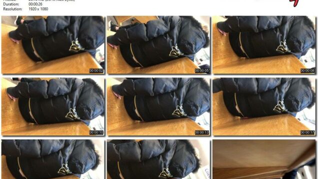 85211820-aa8e-11eb-a8d1-0800278f7705