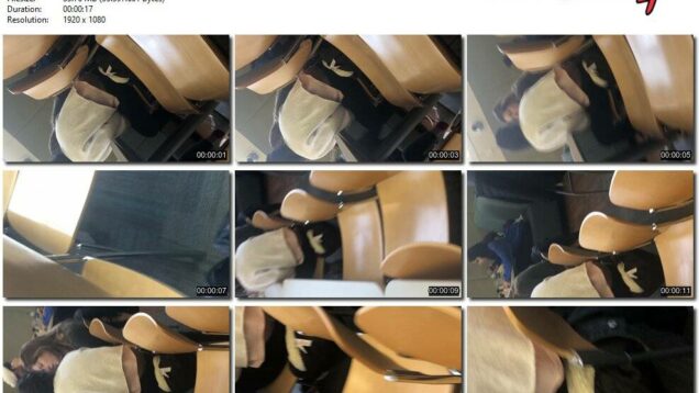 87306e1a-aa8c-11eb-a8d1-0800278f7705