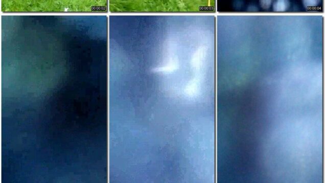 b13d0e08-aa8b-11eb-a8d1-0800278f7705