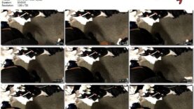 5502bb48-f206-11eb-a8d1-0800278f7705