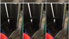 8cadf392-f205-11eb-a8d1-0800278f7705