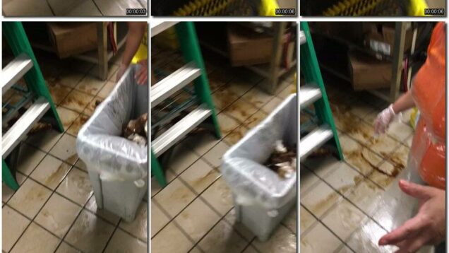 962870b4-f205-11eb-a8d1-0800278f7705