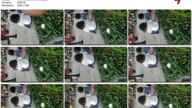 963b9f84-f2cf-11eb-a8d1-0800278f7705