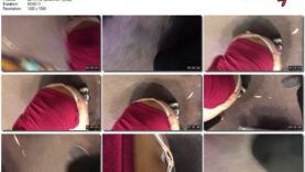 b2ed6f78-f206-11eb-a8d1-0800278f7705