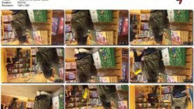 e7c8b658-f206-11eb-a8d1-0800278f7705