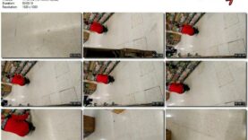 38d7b61e-2f6c-11ec-a8d1-0800278f7705