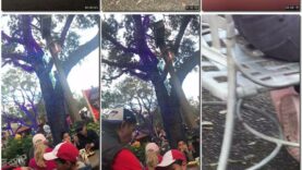 3eae0c06-2f6b-11ec-a8d1-0800278f7705