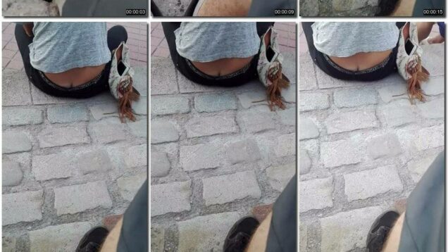 4fd460ac-2f70-11ec-a8d1-0800278f7705