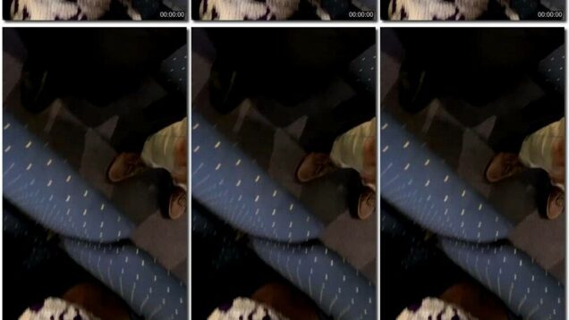 66890a38-2f6f-11ec-a8d1-0800278f7705