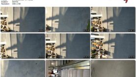 75197440-2f6d-11ec-a8d1-0800278f7705