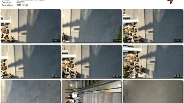 75197440-2f6d-11ec-a8d1-0800278f7705