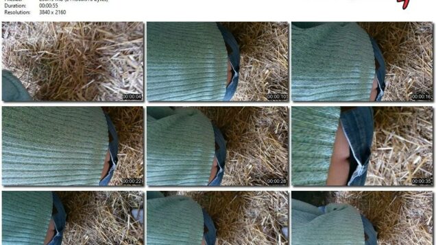 81e107c4-2f6d-11ec-a8d1-0800278f7705