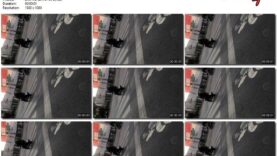 9bdff8b2-2f6b-11ec-a8d1-0800278f7705