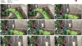 a275e006-2f6b-11ec-a8d1-0800278f7705