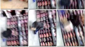 b896dcec-2f6a-11ec-a8d1-0800278f7705