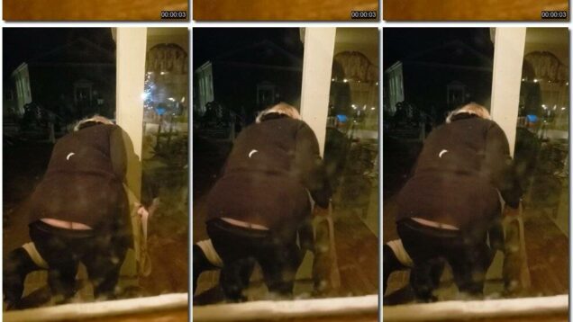 cca6ff92-2f6e-11ec-a8d1-0800278f7705