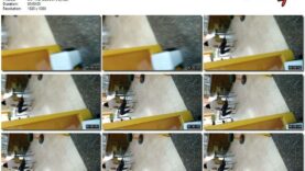 d1e68f02-2f6b-11ec-a8d1-0800278f7705