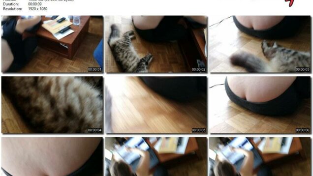 d4061060-2f74-11ec-a8d1-0800278f7705