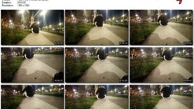 e6eb7be6-2f6c-11ec-a8d1-0800278f7705