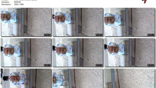 05aee1be-4ca3-11ec-a8d1-0800278f7705