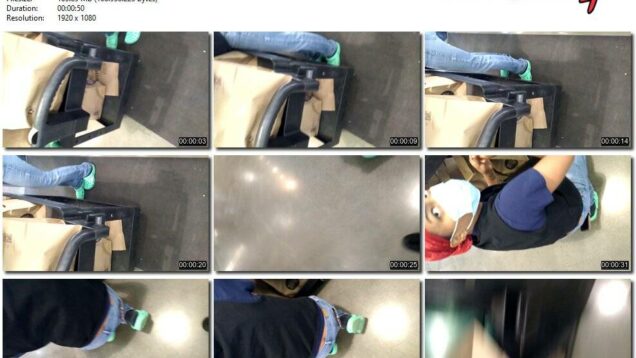 1021fd52-4ca3-11ec-a8d1-0800278f7705